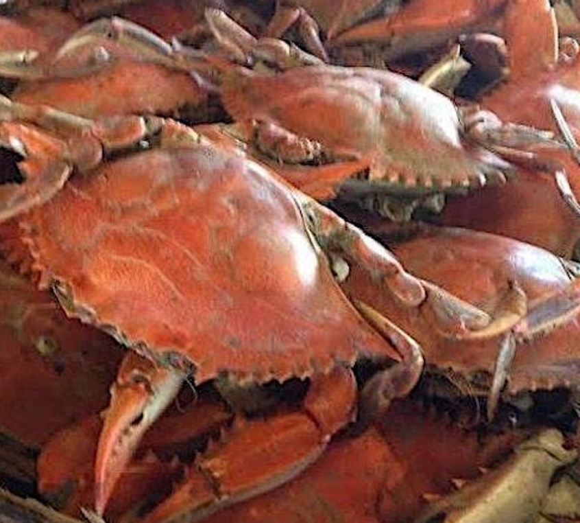 Screenshot 2025-08-23 at 9.59.07 PM